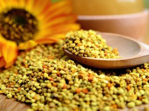 Bipollen – den naturliga supermaten